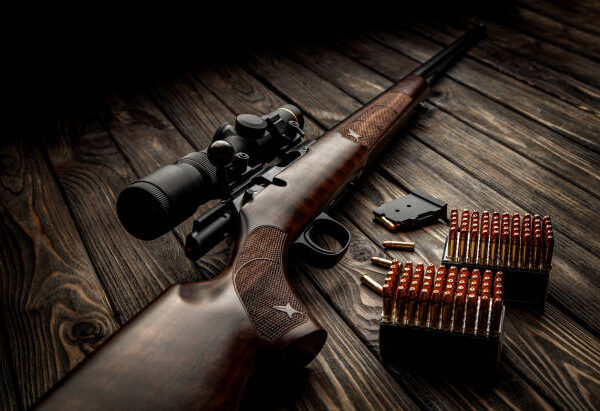Porque comprar um rifle calibre 22